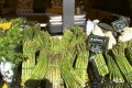 Mira, festa dell’ asparago bianco di Giare 2013