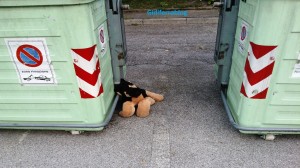Mirano, Operatore Veritas salva cucciolo di cane
