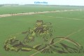 Cina, murales in 3D nei campi di riso