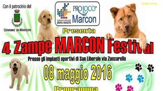 Marcon Festival Dog 2016